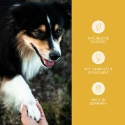 Mammaly Immu Push 110g -Wuff Welt 38b7917670f59d2a88ff5d6635a04535121b1ee9 1472893 5