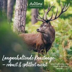 Aniforte Hochland Hirschgeweih Large -Wuff Welt 39f2a5ff6e53888c8c1695f466ea6e43e64cad4b 1656976 de DE 99c99505097d02177ff254d85e1c4aff420ff4f7Vy9IA6