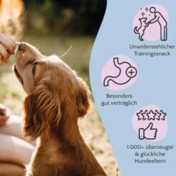 FAVLY Petfood Nature Cookies Pute 360 G 10 FAVLY Petfood Nature Cookies Pute 360 G -Wuff Welt 3c4584472c13d10f5e19d1e9ef96341ca6dec3b2 1474002 de DE 301bd8d5aa99f57312b9f6bf9f09f0b879ce5f08YRbuxr