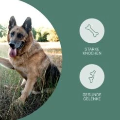 Mammaly Happy Hips 110g -Wuff Welt 3c8bff51a0475eda30226950bbfaf91b8c4d5bf4 1472886 1 3