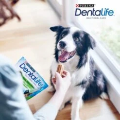 DentaLife PURINA Hunde Zahnpflege-Snacks Großpackung Medium, 84x -Wuff Welt 3d22bf74a99660236ce1548620fac8aa3ac8818f 7dac1d18ca011066644ad899fee9fa3bcb5974f5