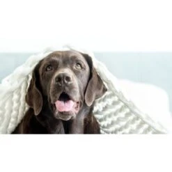 Mammaly Relax Time 110g -Wuff Welt 3dd35fe2b92d8dcd6709afd1b3b41791517f9181 1472888 4