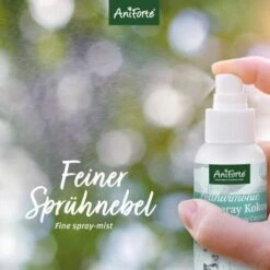 Aniforte Pflegespray Kokos Fellharmonie 200 Ml -Wuff Welt 3e1dc7bd1be23f0d63ccf848ed976a4cc3459493 1419045 de DE 1b0a5ad21de98dedcc165a8204340b363ad73228Ao8pTA