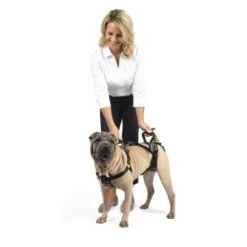 PetSafe CareLift Hebegeschirr Für Hunde Beige/ Schwarz M -Wuff Welt 3e9e0cb26f5dcbf06323f0d4cd66351348dd5dde 1481153 de DE a6f649d5f5d8e88fc5a27e7685197febe1fe24f77QaBT4