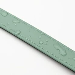 THE DOG IDEA Biothane Halsband Sage S -Wuff Welt 40e4391cc0734ccbf14e51ec3a7d5f37f0783760 1674165 de DE cb3dd5b17ddd877c6ac1e75a3b6a793fa5187f4civjzmh