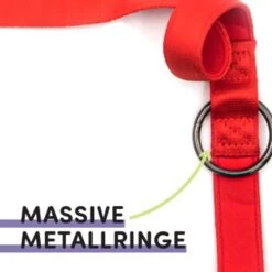 STUCH Hundeleine - Führleine - Medium Rot -Wuff Welt 417b667e17cc878e03d99935a0455feb62c1f5b9 1399118 de DE 95ade165f5933b21f71491f3eeb1769591b52c61Sn9mqZ