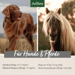 Aniforte Bio Ägyptisches Schwarzkümmelöl 500ml -Wuff Welt 4258016ff96e6eaff4a590bc2850e571352c6a4d 1480469 de DE 17f309b4e6d8fb85e8cb8f3f497f25cae50c097f6a4PXZ