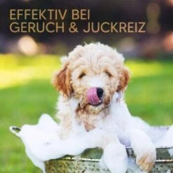 Pawlie's Welpenshampoo -Wuff Welt 42f9c58257fb2002e5c33c2d81bd829c9adeb1cc 1626204 de DE 8b17d3990cf88ea437c76c60b6848183bc9636a5a44ihJ