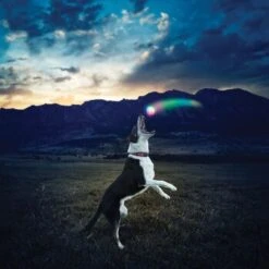 Nite-ize Nite Ize GlowStreak LED Ball -Wuff Welt 43e2b2f69678f8bd9a4783234d4d2f0f6539de2c aa0d4fe645719d25b1229e63d789e39274accd93