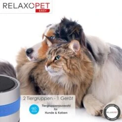 RelaxoPet EASY Tierentspannungs-Trainer Für Hunde Und Katzen -Wuff Welt 4476be157af12df554867b6e93f144b9ceb36a4a 1396143 de DE d434b17460c4f49edf8862d0c0ea4bbeca4221e3ODM7na