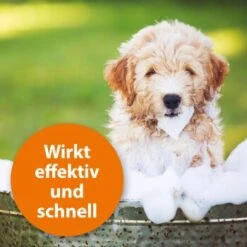 Ardap Anti Zecken Shampoo Für Hunde 250ml 11 Ardap Anti Zecken Shampoo Für Hunde 250ml -Wuff Welt 45234aab493187b4f025c9c1611ba91401852a61 1289723 de DE 011c29b51870fd299b578444e9341eb4fefc30b304XMpl
