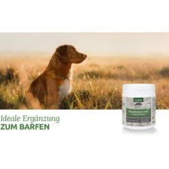 Aniforte BARF-Line Naturkräuter Mix 250g 7 Aniforte BARF-Line Naturkräuter Mix 250g -Wuff Welt 464ddda8fc38a6e027c6cafe7fde53f2ad109df8 1477973 de DE 4e7a685a7dd87aa68a02cfea6763367892d36c13HaZ7EK