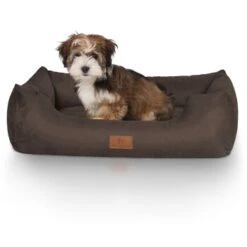 Knuffelwuff Hundebett Dreamline Aus Velours Braun M-L 7 Knuffelwuff Hundebett Dreamline Aus Velours Braun M-L -Wuff Welt 4874a718fee5f0bdcb64f710c17c88a67ef28955 1411758 de DE dafae6b74b3af75ee424a346e8806ecd50415f171FsFRH
