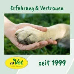 CdVet EnergyUp 450g -Wuff Welt 4a176b03b4ab590e354de99dc1cb9c967e9a4b12 1667440 de DE d650bdda4d7bf1b92f4f6fc1b781381a15c0d65dhz1m5X