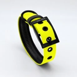 THE DOG IDEA Biothane Halsband Neongelb Schwarz XS -Wuff Welt 4b5f94c116ee8f4116352a5e2bf8c37f9bf8d64e 1679167 de DE 963fd5279bdf0e4b38d32b1a64f15f6228f52ca3f4Ctn8