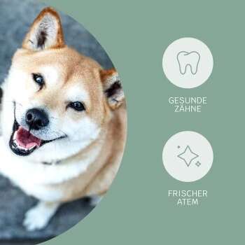 Mammaly Fresh Smile 110g 7 Mammaly Fresh Smile 110g – Bild 7