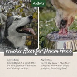 Aniforte Dentalspray Zahnpflege Spray 100ml -Wuff Welt 5407327dc1ff8b3c62918c78a261300c797ac1a5 1439278 de DE d65d8e1ebeada7690aae8d6a4c6fc70cb3dbb3e9igaN3s