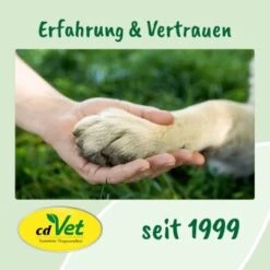 DentaVet Gel 35g -Wuff Welt 545e087e057912f1eb130f03a5533927e129f40b 1249039 de DE f215127866d604991b4efc218004018ddf4470952Q2KTf