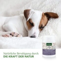 Aniforte Calm & Relax Kräuter 100g -Wuff Welt 59d8edf488dbbfa5326d02c9bc480ebe764b40aa 1477975 de DE 8fdc0dbb13dd77bc918a019d832ea481c7670a35vrdXJ1