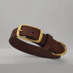 THE DOG IDEA Leder Halsband Braun M -Wuff Welt 5bac949feea5d5f59c7e6751952069a5862426be 1674220 de DE 8b6455ef1d4dab4e1be6bed35e5373bf84958058k1WBYW