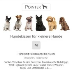 Pointer Liegekissen Khaki M -Wuff Welt 5c95e0c5cd34d73a5613280bd9c008b2338ac28e 65d97dccf50f65346fc9d81c1d0c8309bc74a4d7
