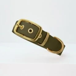 THE DOG IDEA Biothane Halsband Gold Khaki M -Wuff Welt 5f39446a1ee14dab16a89a3689929003861983a8 1655419 de DE fdcb084ec6e1b995d3a74426085016a70227a578xTiAJp