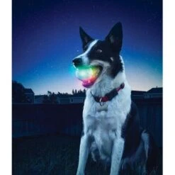Nite-ize Nite Ize GlowStreak LED Ball -Wuff Welt 608322f1a703e3689310eb61023c076f794fcb42 74594ad17ce0b41da7e2f352b44358884023f71d