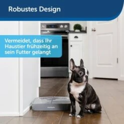 PetSafe Futterautomat Für 2 Mahlzeiten -Wuff Welt 60a1e1a248bbac9e66428598825905119776c581 c7814f5d9095fb70865838cf69fed542d9727140