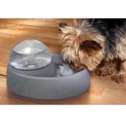 Numaxes Eyenimal Trinkbrunnen 1,5l -Wuff Welt 612512ae3e55fd25731acfc2a0abcdc5bfeba8fb b7754bc2b320ccef10b70045a810474d6996a8cb