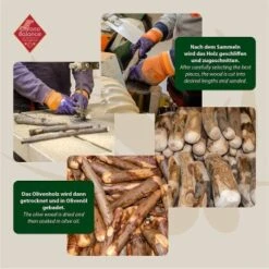 ChronoBalance Olivenholz (S) 2er Paket -Wuff Welt 6399a19957a1f9809fa25db7ab5443cc78aedc84 1418699 de DE 8f48e572bfc115876fd8e9be5efc6bdd38136584he55eH