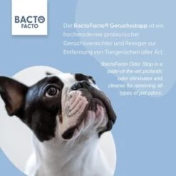 ChronoBalance BactoFacto Probiotischer Geruchsstopp Pads Für 2 Liter 20 Ml -Wuff Welt 6515b6e6800e68909a0a5f7e0f816613e8c36542 1397549 de DE 9a466fcf5c88e78df191b07c6d764f4746df49dcxtsIbT