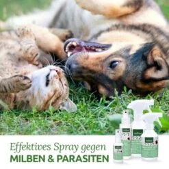 Aniforte Milben-STOP Spray Für Hunde Und Katzen 100 G -Wuff Welt 65c573e701babc35d0222949c6f8e5e51e98ed10 1656142 de DE a537cb98349378307bdd6f629cf67a682ee52db6lSupmg