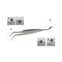 Lills Zeckenzange Aus Edelstahl -Wuff Welt 666f3a3fb181b232ac8339dfb19af759aa845978 1488086 de DE f0e508c7b7855d95e1b35fa6dabdb0d0ba4555f76ECWsn