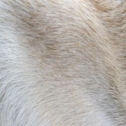 THE DOG IDEA Klassische Hundebürste Naturfibre -Wuff Welt 676bdeb1a8deaabc9fd3f5e57dee401f0e69a9f8 1485270 de DE eacaeb5bfae7cf6612554a6aa926d1cc6dfba5918XqumA