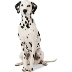 MORE Liegeplatz Cord LOOKS By Wolfgang Joop M -Wuff Welt 6828406bf5c097465ec912985de2b95c60385f12 1410461 3 1