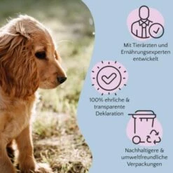 FAVLY Petfood Nature Cookies Pute 360 G 11 FAVLY Petfood Nature Cookies Pute 360 G -Wuff Welt 6c9d1abe0a2c3e1ebe66676a84af974447985b3a 1474002 de DE 8376156006fe9b222994c99185dc131fb988c3c2LLZ2OM