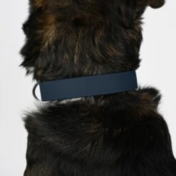 THE DOG IDEA Biothane Halsband Navy Neon Gelb XS -Wuff Welt 6fd2b4918a3646f398fd352f4f8921fb2db71354 1481054 de DE 2eb47437e49e7285dfb051bfdaad6fee4d199d13okJULW