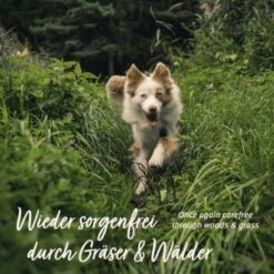 Aniforte Z-Season Snack 350g -Wuff Welt 73a9c702b62350d9977522526f40b2f15ac1a87b 1495364 de DE a9f698c76a12bd39e549344514374e4b07a0f5b8wxpq6a