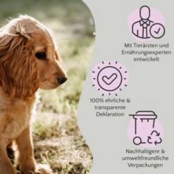 FAVLY Petfood FAVLY Probierpaket "Snack It" -Wuff Welt 76de882c7775b6f702fd4d6da347da46c83b7668 1475299 de DE 908544d2c24927cde4ce8f1acefe41ebea7bec29ERVYJt