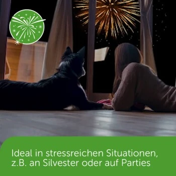 ADAPTIL Chew 30 Stück Anti Stress Snack 5 ADAPTIL Chew 30 Stück Anti Stress Snack – Bild 5