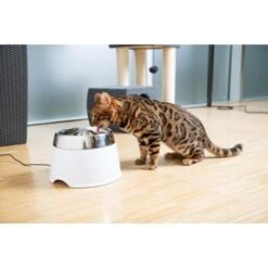 AniOne Edelstahl-Trinkbrunnen Trevi Ohne Ersatzfilter -Wuff Welt 7a066af048695bbfaeca0a855e5984fc3bf99d03 689fcf415d486ac05c07f2a4868b1d087d7a9ece