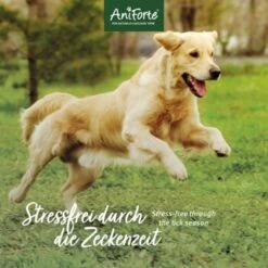Aniforte Zecken Schild (10 Bis 35kg) Für Hunde 60 Kapseln -Wuff Welt 7c1f9419501c73304f8da74439e2793f1ac19534 1332832 de DE 6b0465714e7043aa512f07a2e3a3c8a3a07d4c02tI7JlQ