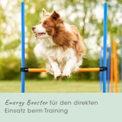 CdVet EnergyUp 450g -Wuff Welt 81112aeb6902553b69cb41cf11d7fe161984d344 1667440 de DE fc558df44802419b4545b3be6860d940a3342110fWQbUl