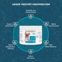 MediDog Kokos Paste -Wuff Welt 8131aaea912cbf75cb3314fa956ab4553171405e 1660401 de DE fe461295d3ffae968465359c950a2ded462dfe7aWamnHQ