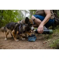 Ruffwear Great Basin™ Napf Schieferblau S -Wuff Welt 824b44ccf17c67c3dd43e5523941633c95efed85 1651551 de DE fad827ec7223895423979e3215d64ffaeae47c26HGRUuZ