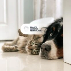 KYVETIN Spray Skin Repair Für Hunde Und Katzen 14 KYVETIN Spray Skin Repair Für Hunde Und Katzen -Wuff Welt 851cbfa418e315e47d7ba499ec62be71e3229497 1364195 de DE KyvetinSpray 7