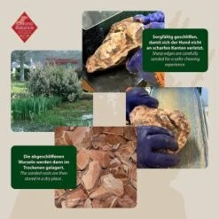 ChronoBalance Kauwurzel Baumheide (L) 2er Paket 8 ChronoBalance Kauwurzel Baumheide (L) 2er Paket -Wuff Welt 8657ce87a947fe0ed8c4d6a008ac5a5c7fa0f2ea 1418715 de DE ba8b2a31068658c9820512bd79f25900dbe0cd09XrvtJ9