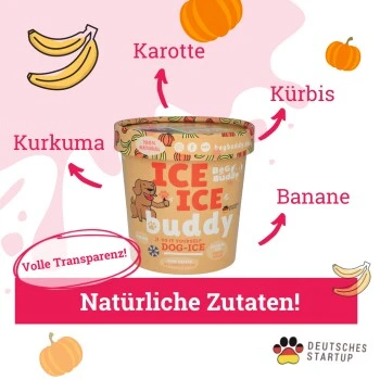 BeG Buddy Starter-Kit Hundeeis, Eis, Kürbis 2 BeG Buddy Starter-Kit Hundeeis, Eis, Kürbis – Bild 2