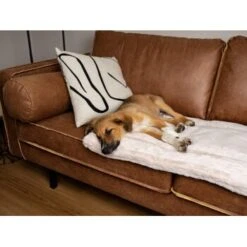 TrendPet Harmony Gefütterte Liegedecke Creme XS -Wuff Welt 8a90b0a9111c9f8c3102709bd3f96183b3562c59 1390614 de DE 76a51ca8d6aad29feaec164f24c0d781c9ed8ce7YdJOW0