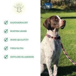 Kipita Polo Hundeleine Rainbow -Wuff Welt 8abb42b32cbc1eac256c2e5aaed5b5ad720cf72c 1410959 de DE e149407534bdcfb2672e3057857c7f56cd770233aiC6wq